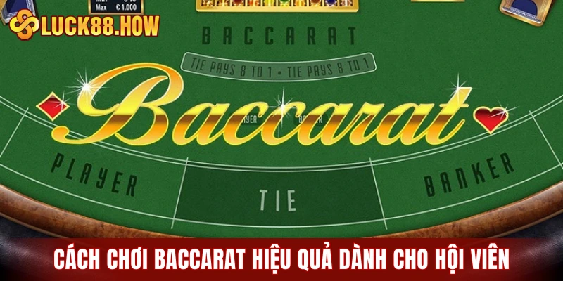 Cách chơi Baccarat hiệu quả dành cho hội viên