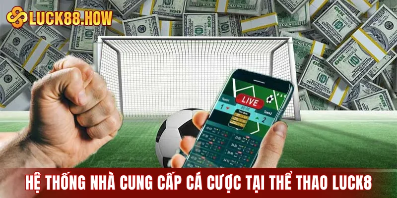Hệ thống nhà cung cấp cá cược tại sảnh thể thao LUCK8