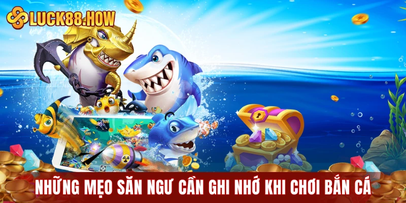 Những mẹo săn ngư cần ghi nhớ khi chơi bắn cá
